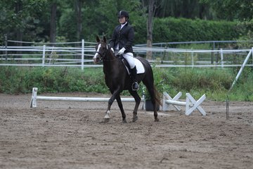 Bild 457 - WBO-Turnier am 18.9.11
